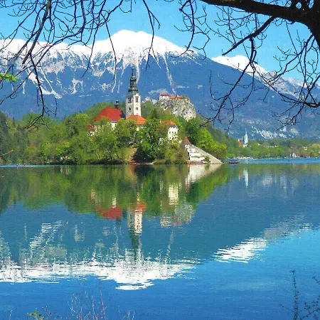 Apartament Apple Garden 4p